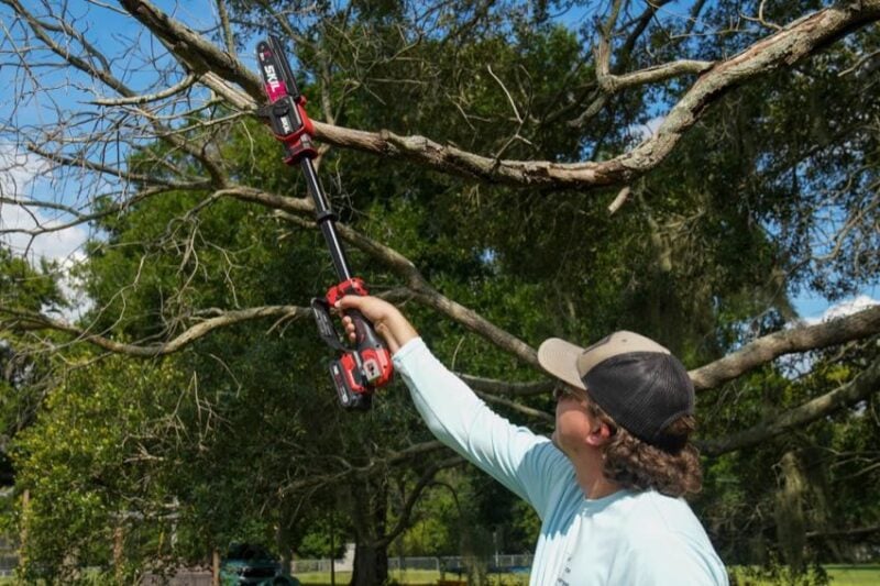 Skil Telescopic Pruning Saw