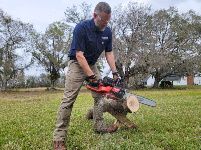 Milwaukee Dual battery chainsaw