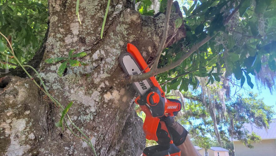 Echo 56V Pruning Saw