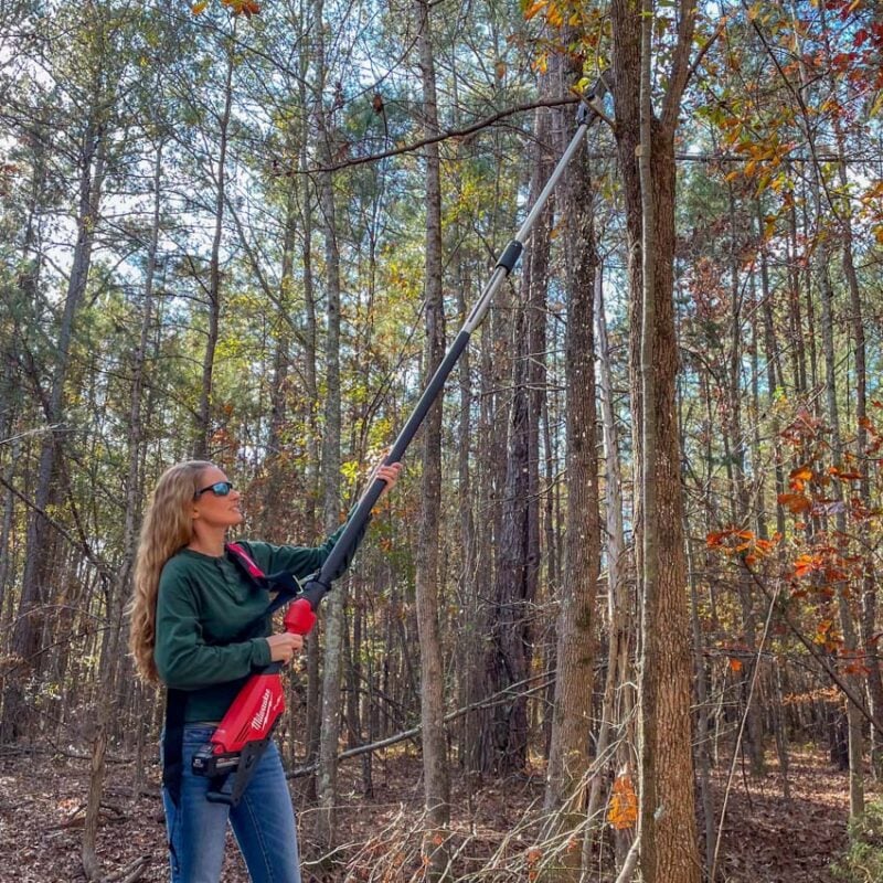 Best Battery-Powered Pole Saw: Milwaukee M18 Fuel 3013
