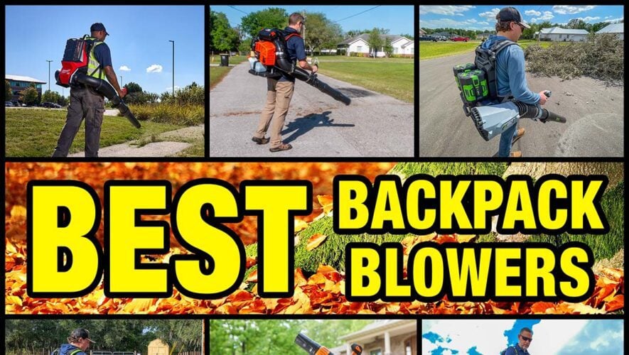 Best Backpack Leaf Blowers 2025