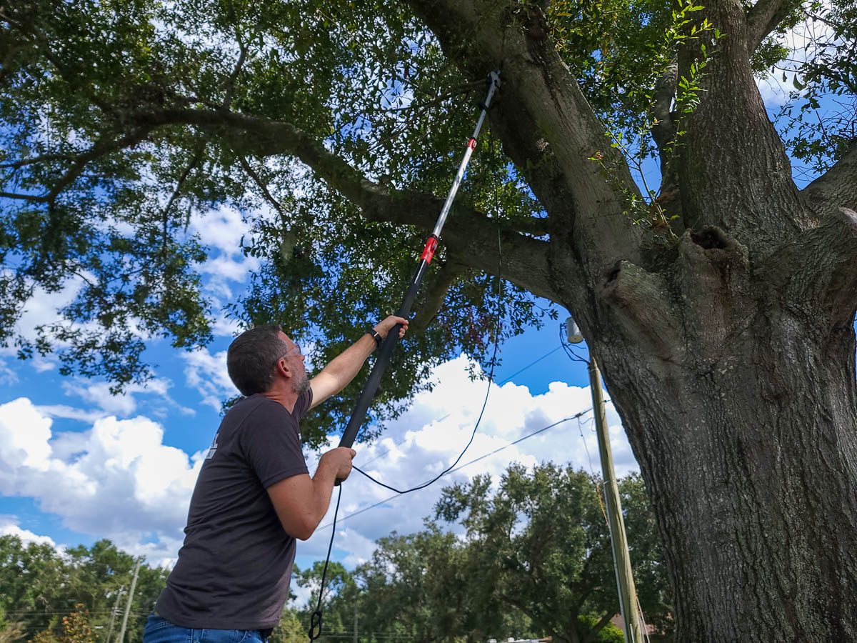 Milwaukee Pole Saw and Pruner