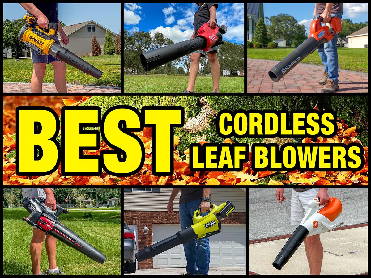 Best Cordless Leaf Blower 2025