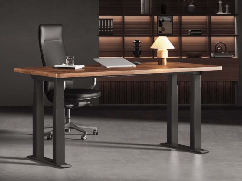 Flexispot E7 Plus Max Standing Desk