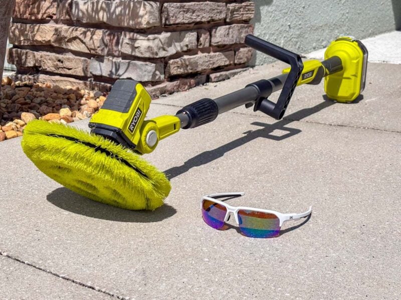 The Easiest Way to Remove Spider Sacs