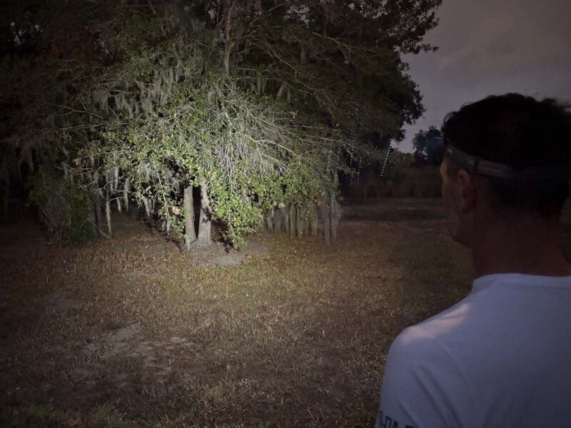 Nebo Mycro 550+ Spot Mode