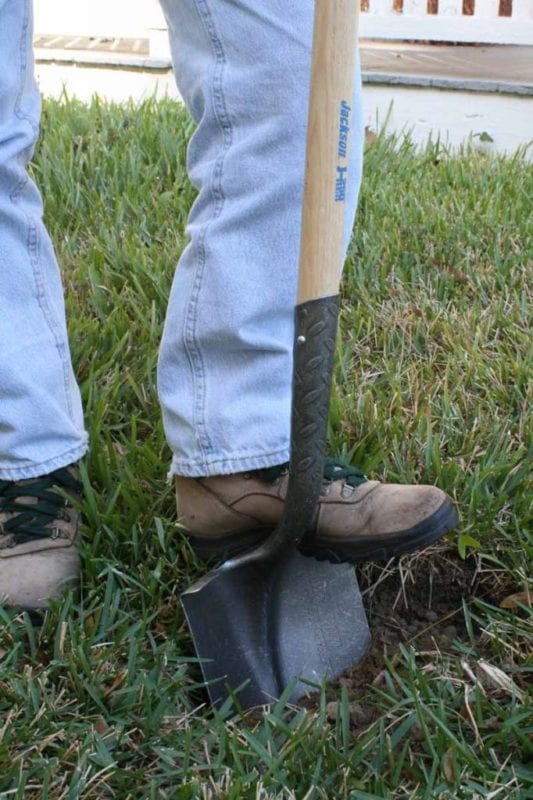 Jackson J-250 Titanium Xtra Round Point Shovel Review